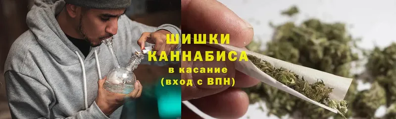 Шишки марихуана конопля  Вязьма 